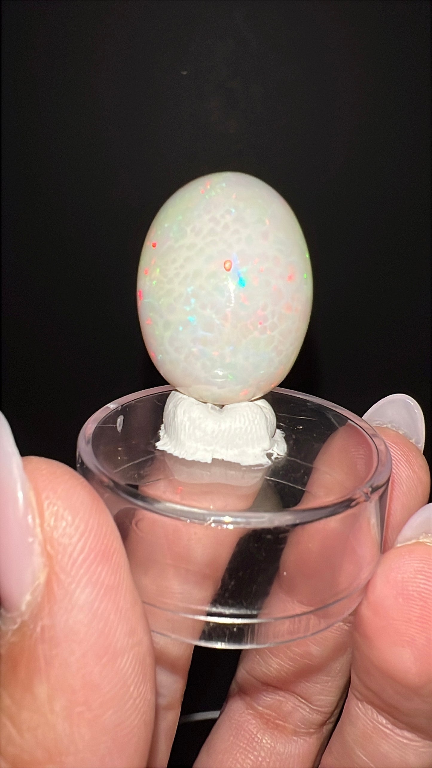 Ethiopian Honeycomb Opal | 27.88 ct| Ethiopia