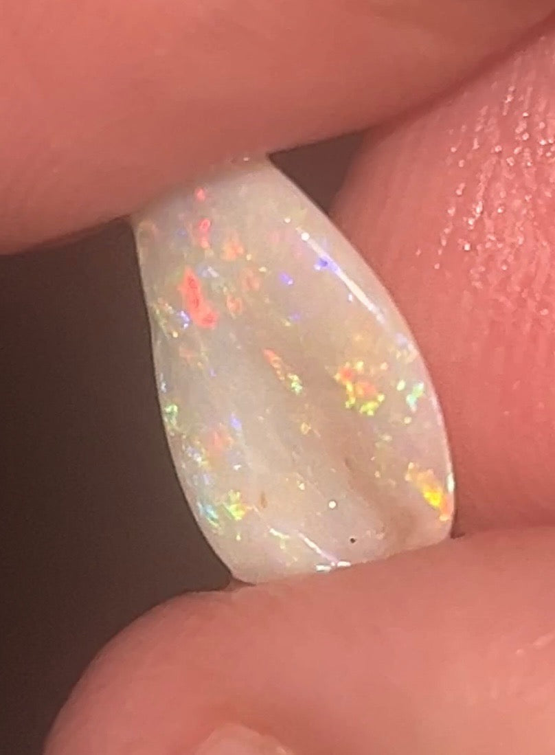 Australian Opal Shell