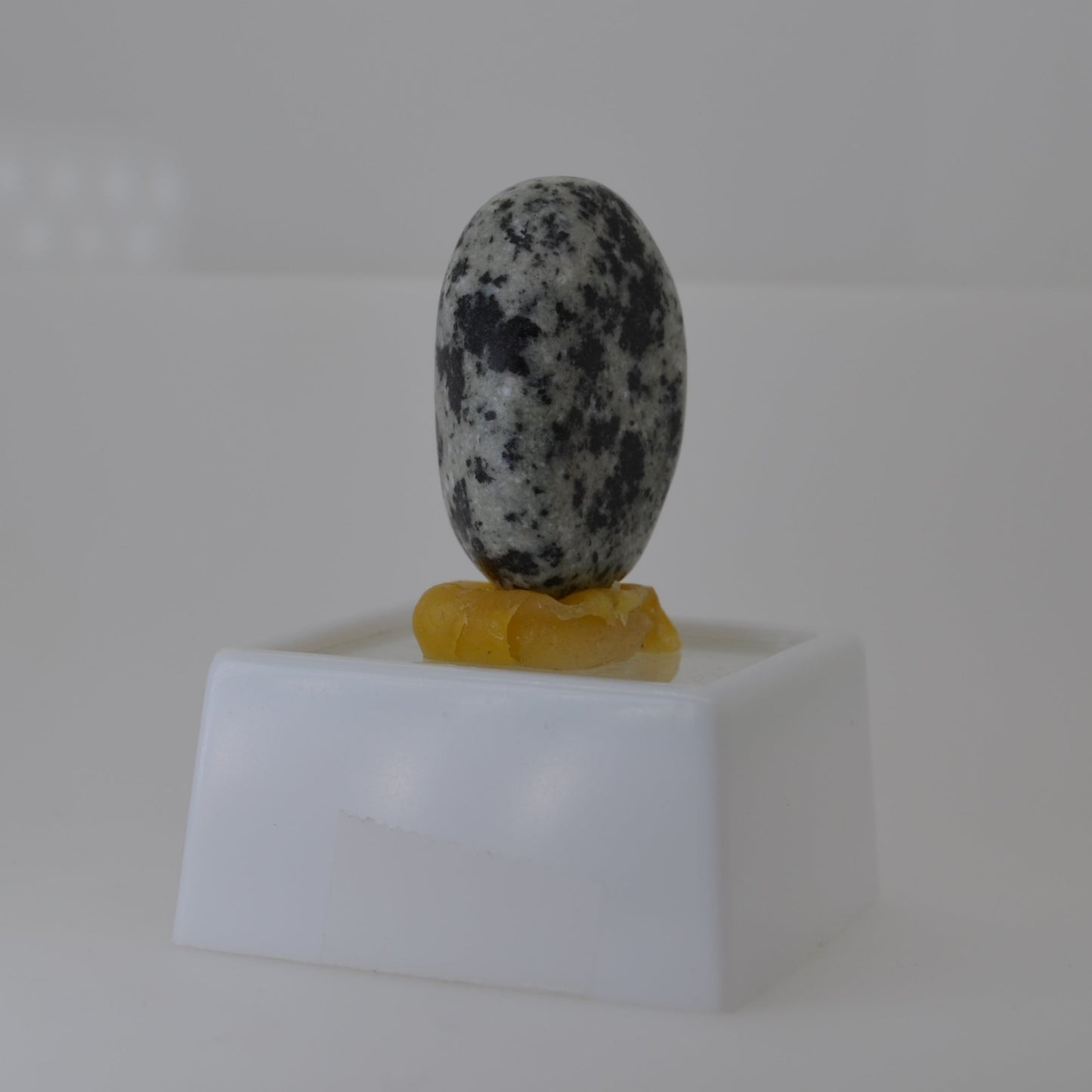 Dalmatian Jasper