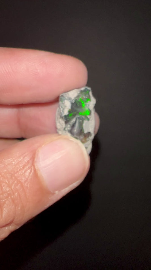 Black Ethiopian Welo Opal