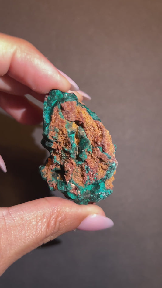 Cradle of Renewal | Dioptase on Matrix | 61g | Congo