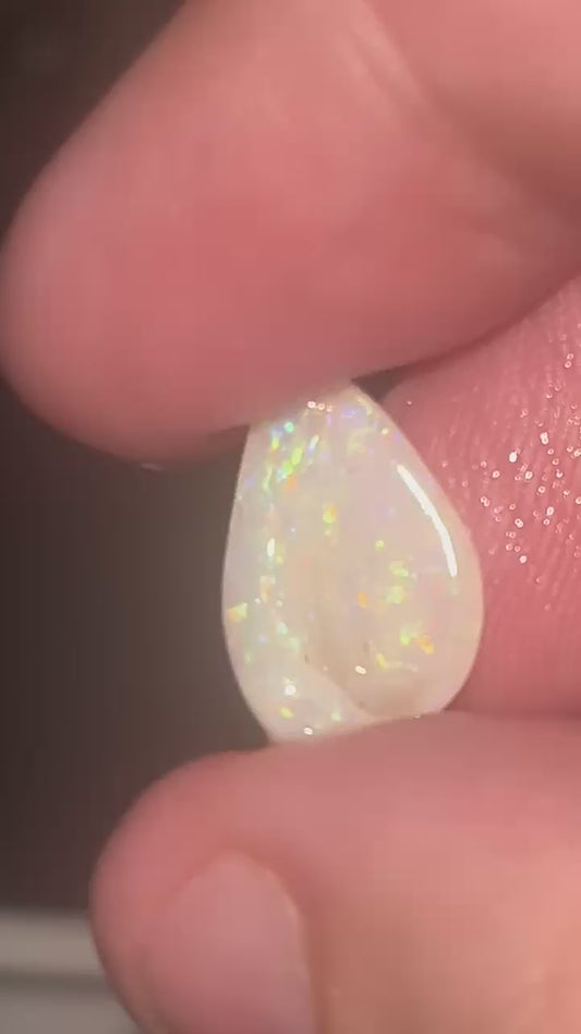 Australian Opal Shell